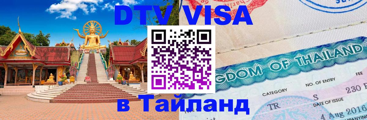 Оформление DTV визы под ключ: стоимость и тарифы, только загранпаспорт - 